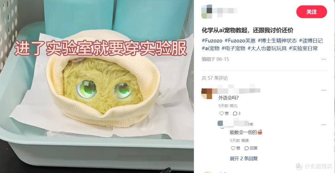 图源：小红书截图