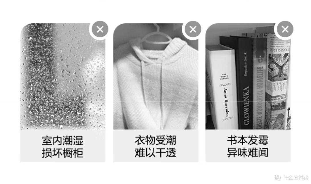 雨季防潮:如何保护书籍免受潮湿侵袭