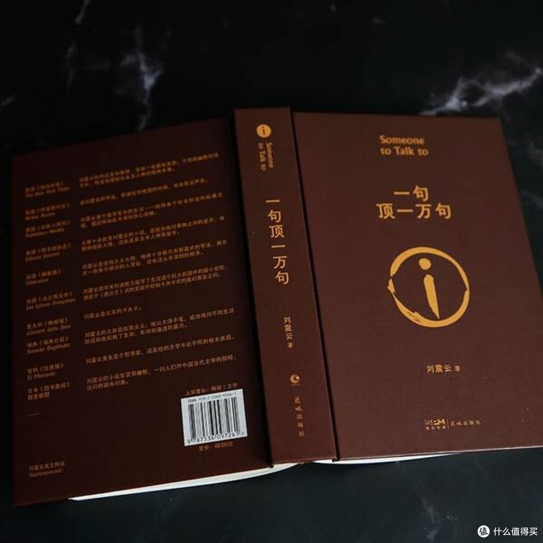 在孤独中寻找回声:《一句顶一万句》的精神图景