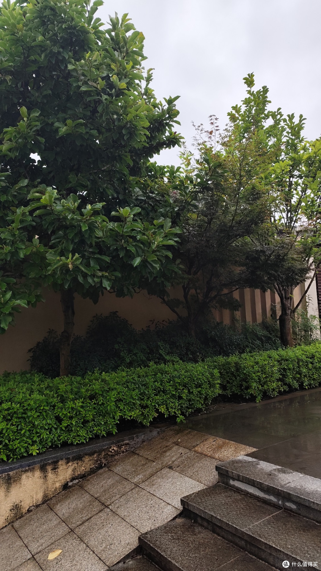 腾冲雨季旅游核心注意事项