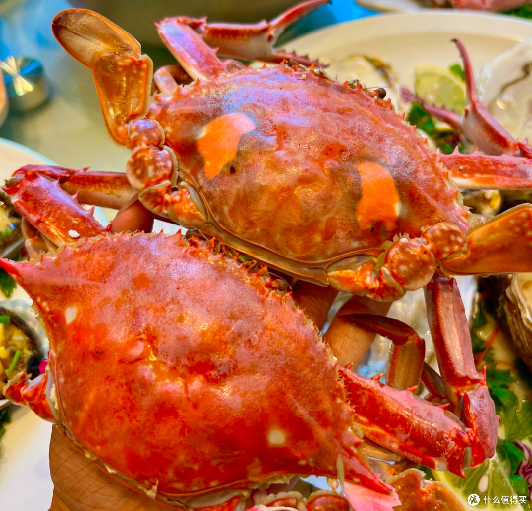 夏天去哪里玩?大连美食旅游攻略!