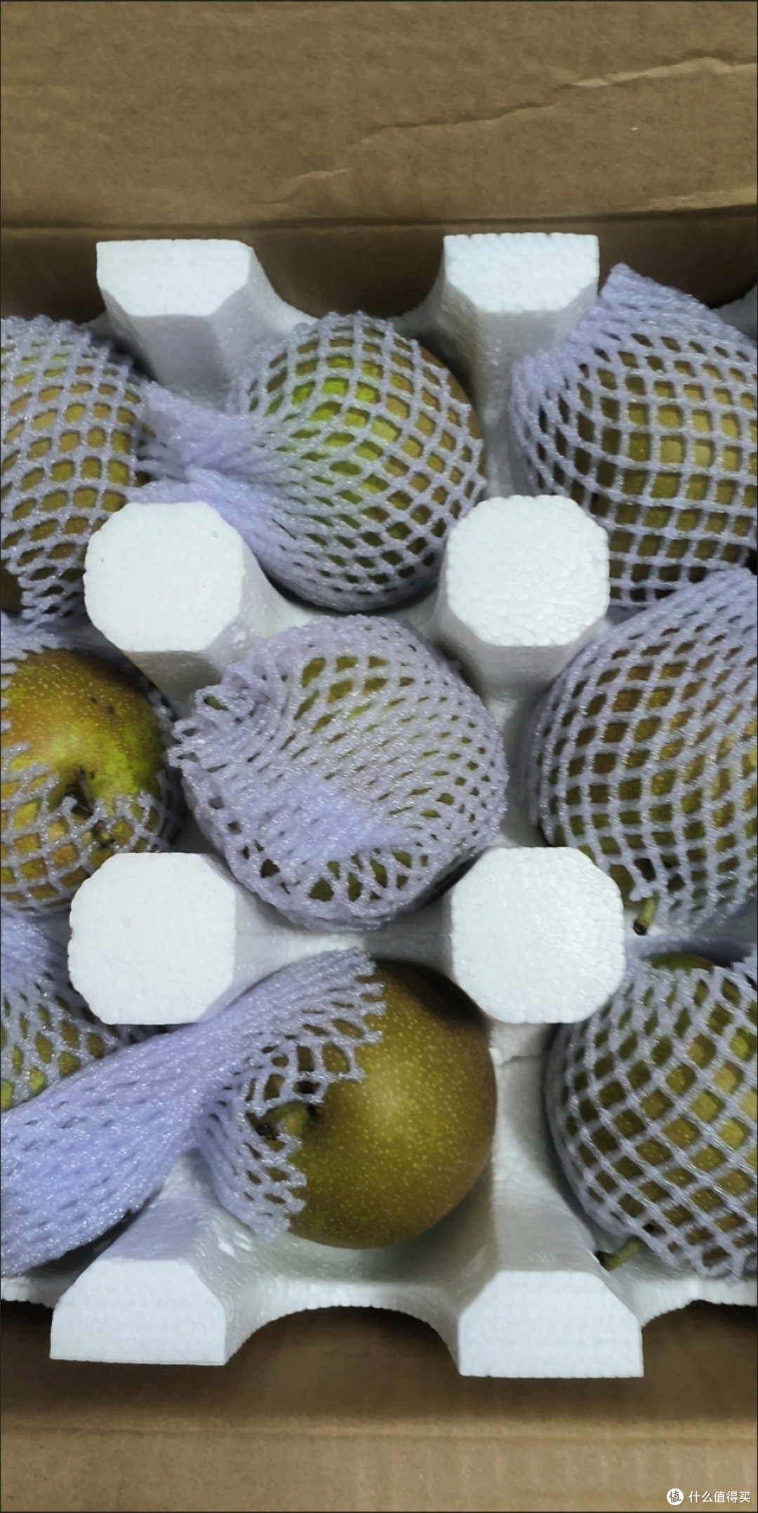 翠冠梨:六月雪的清爽滋味