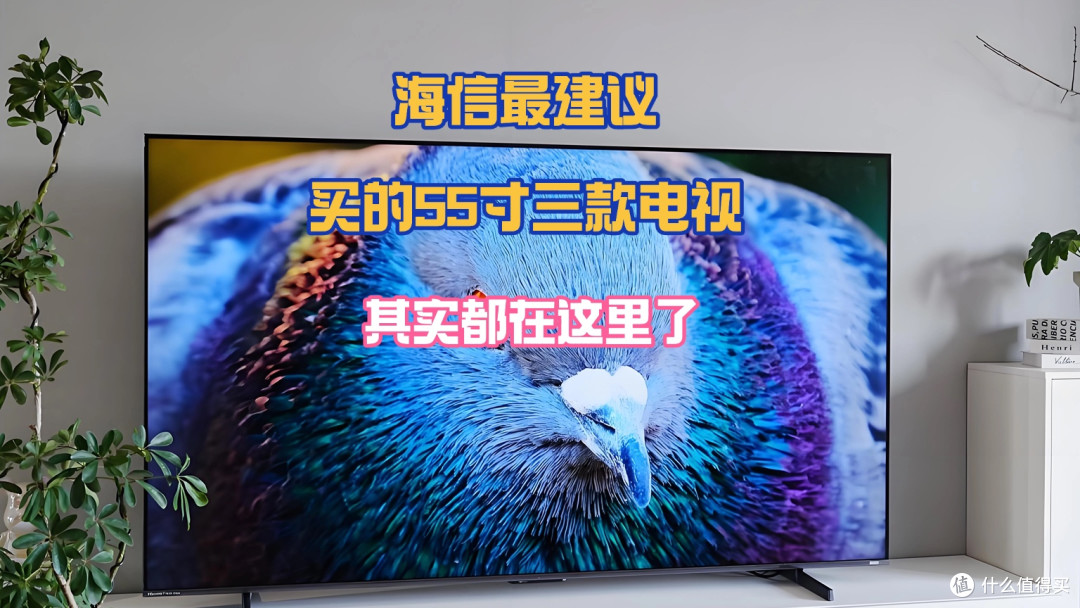 内行人告诉你！海信最建议买的55寸三款电视，其实都在这里了