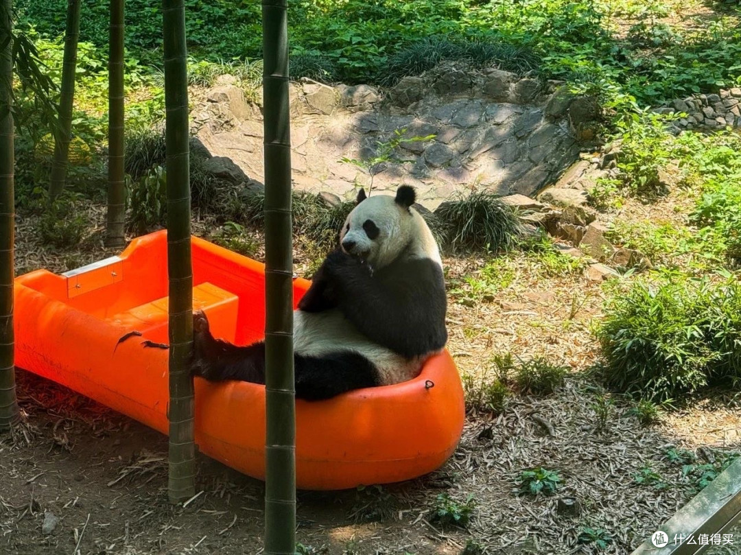 周末加班?不,是周末去班味!