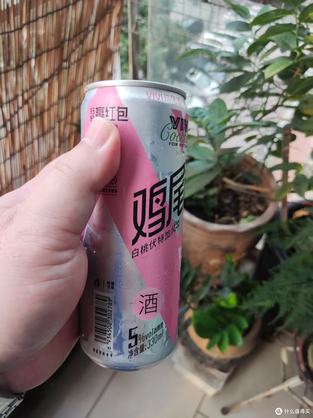 酒精度5%vol