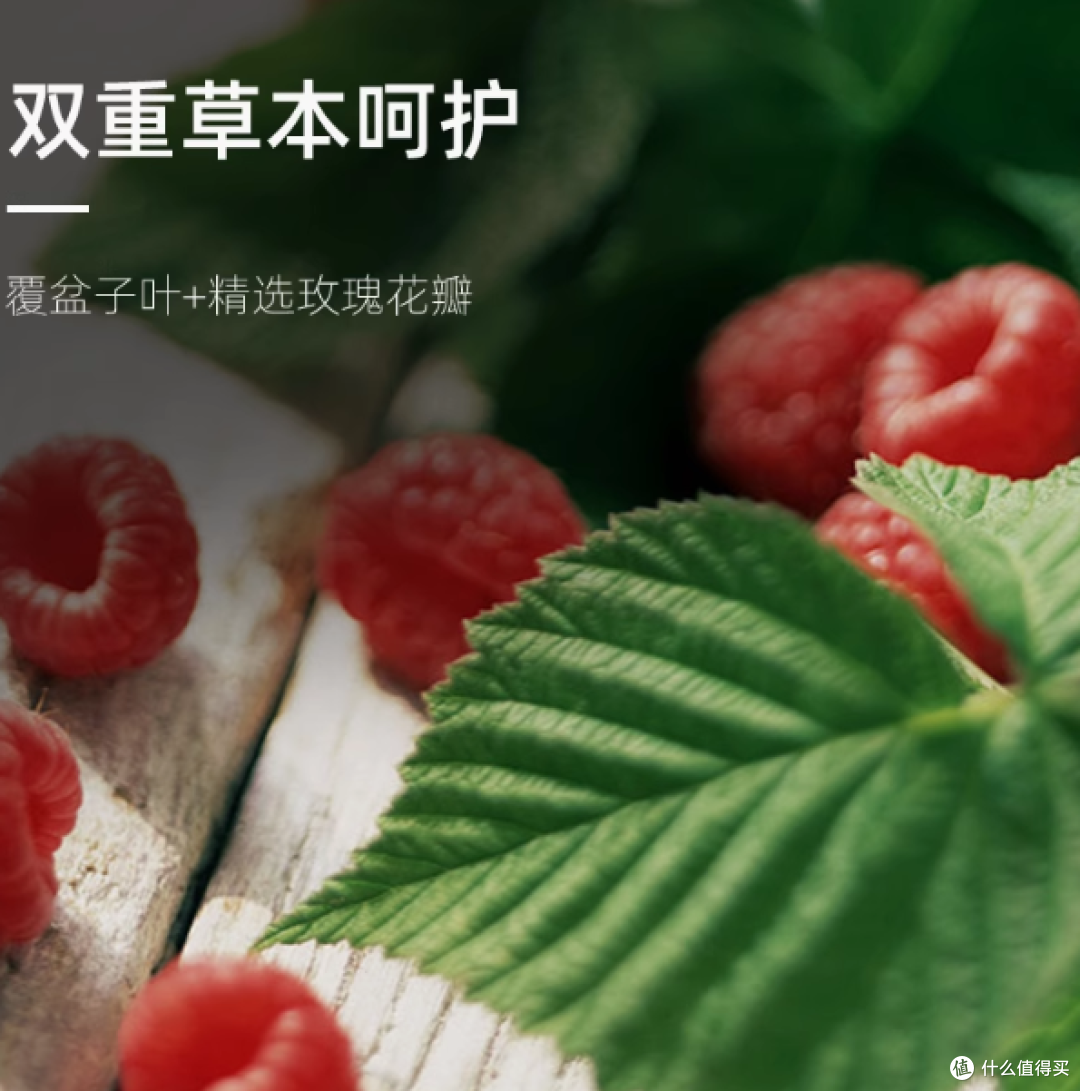 Red Seal 红印覆盆子叶茶 35g / 盒,呵护女性健康的天然之选