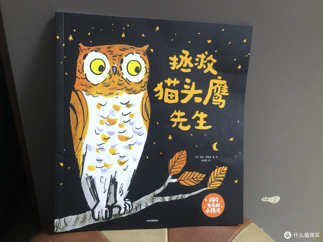 守护窗前老树:拯救猫头鹰先生的温暖故事