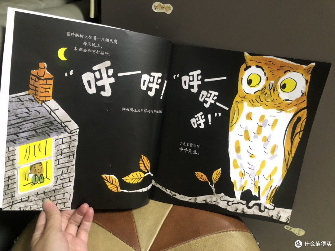 守护窗前老树:拯救猫头鹰先生的温暖故事