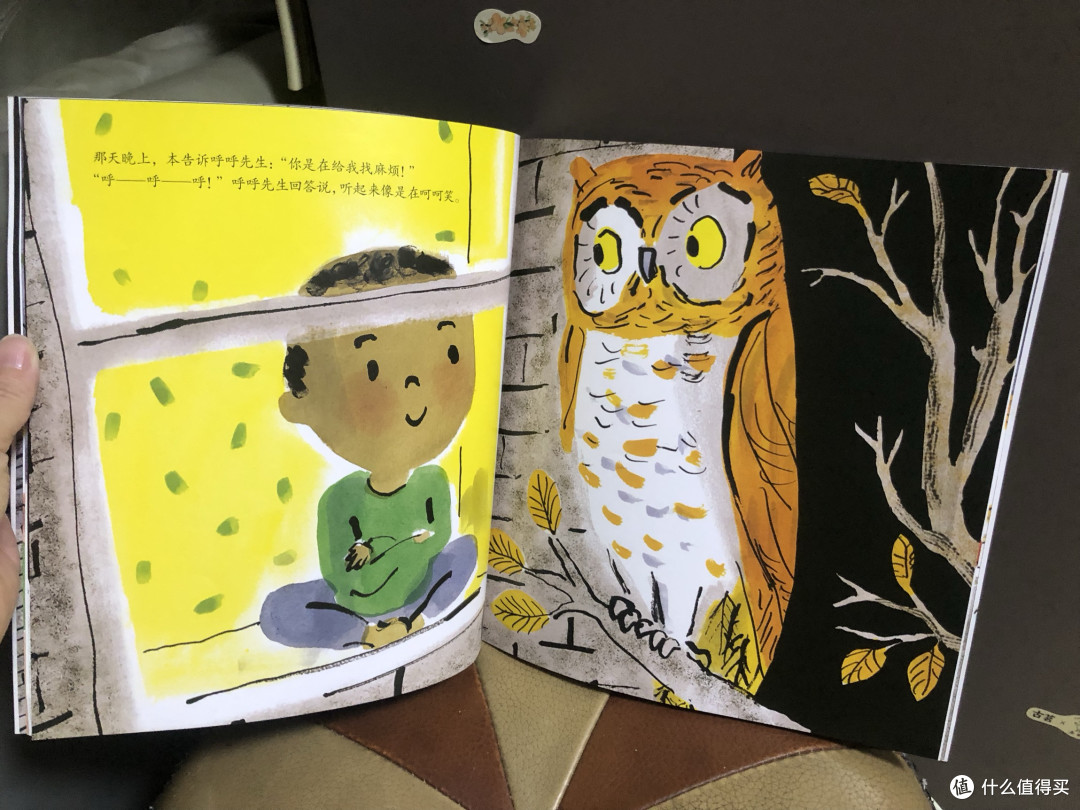 守护窗前老树:拯救猫头鹰先生的温暖故事