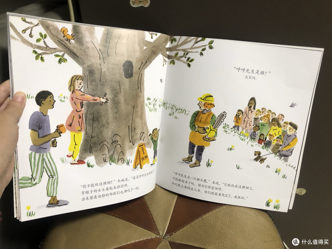 守护窗前老树:拯救猫头鹰先生的温暖故事