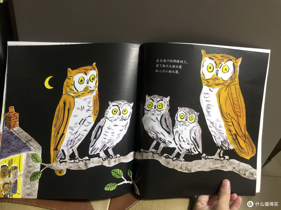 守护窗前老树:拯救猫头鹰先生的温暖故事