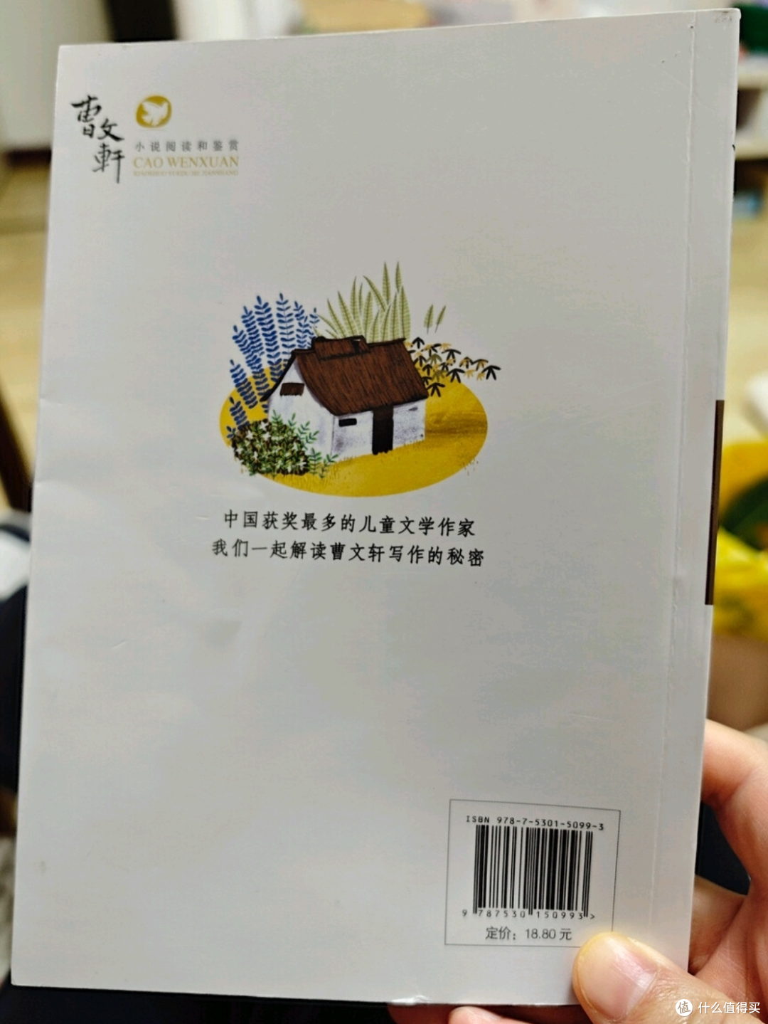 读《草房子》,一起追随油麻地小学的纯真岁月