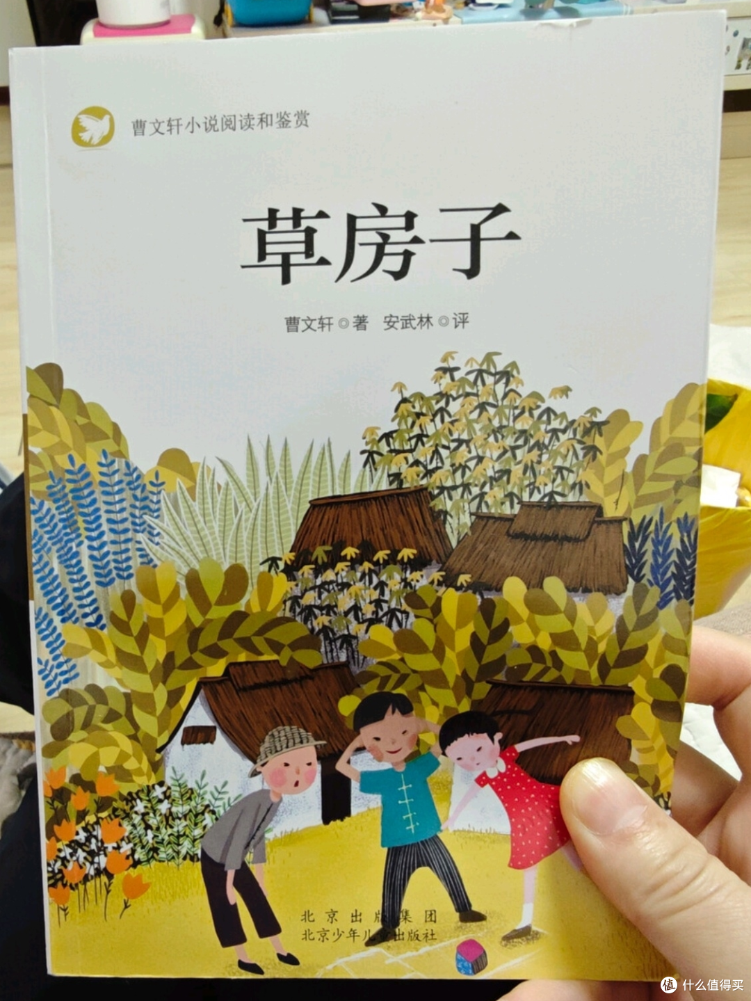 读《草房子》,一起追随油麻地小学的纯真岁月
