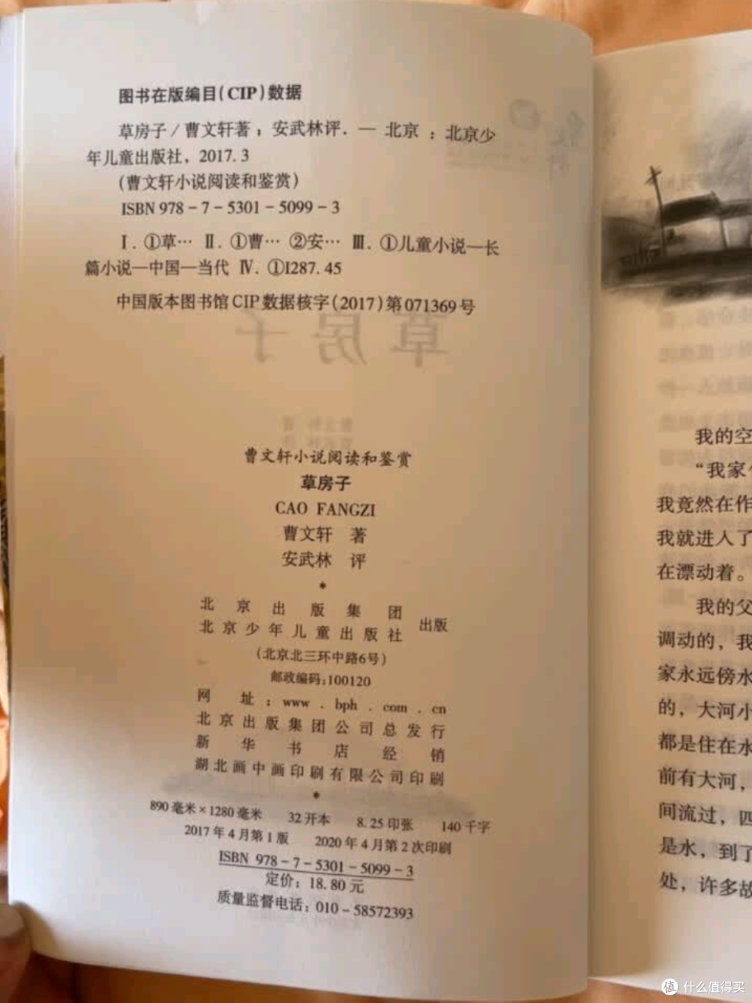 读《草房子》,一起追随油麻地小学的纯真岁月