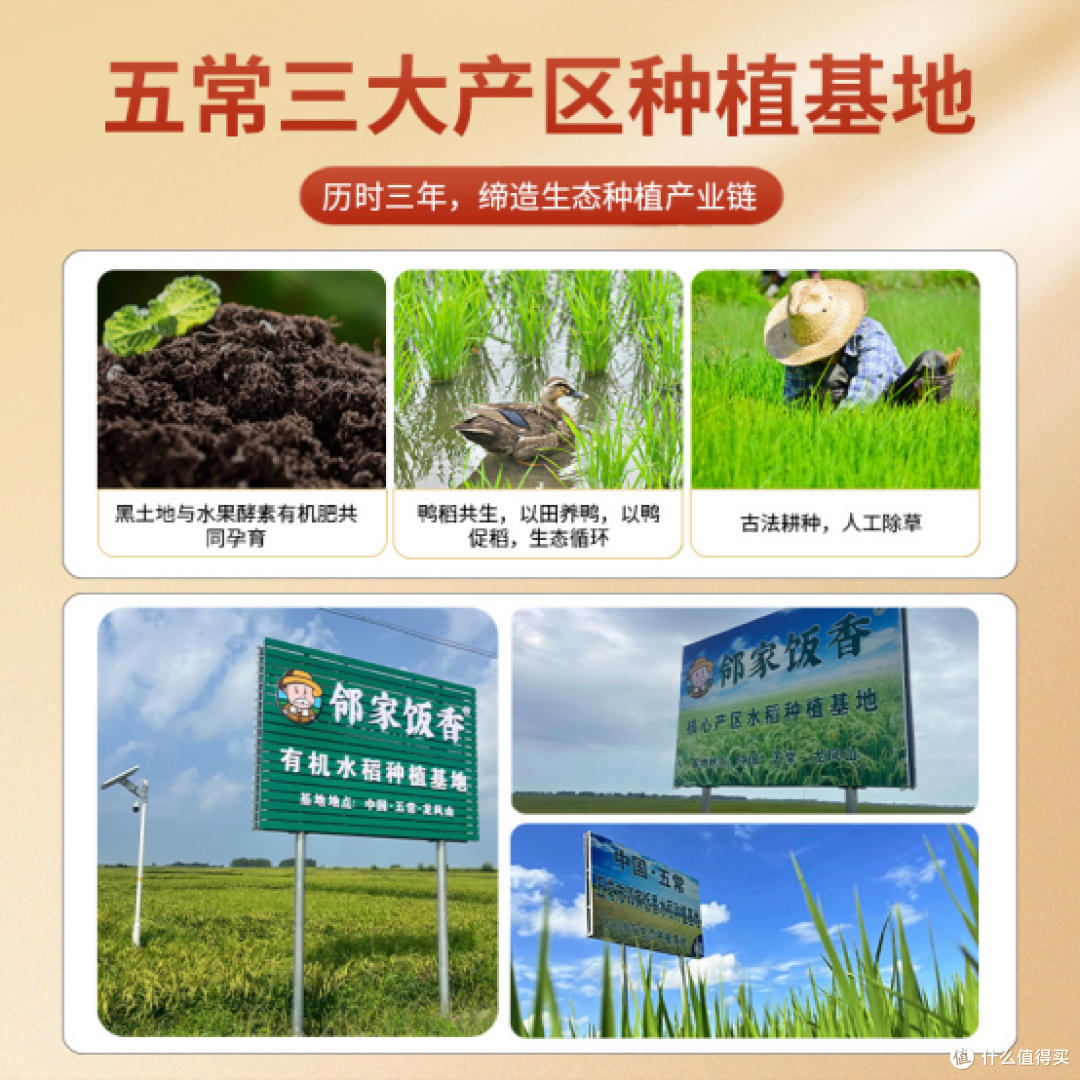 五常大米如何保护其地理标志
