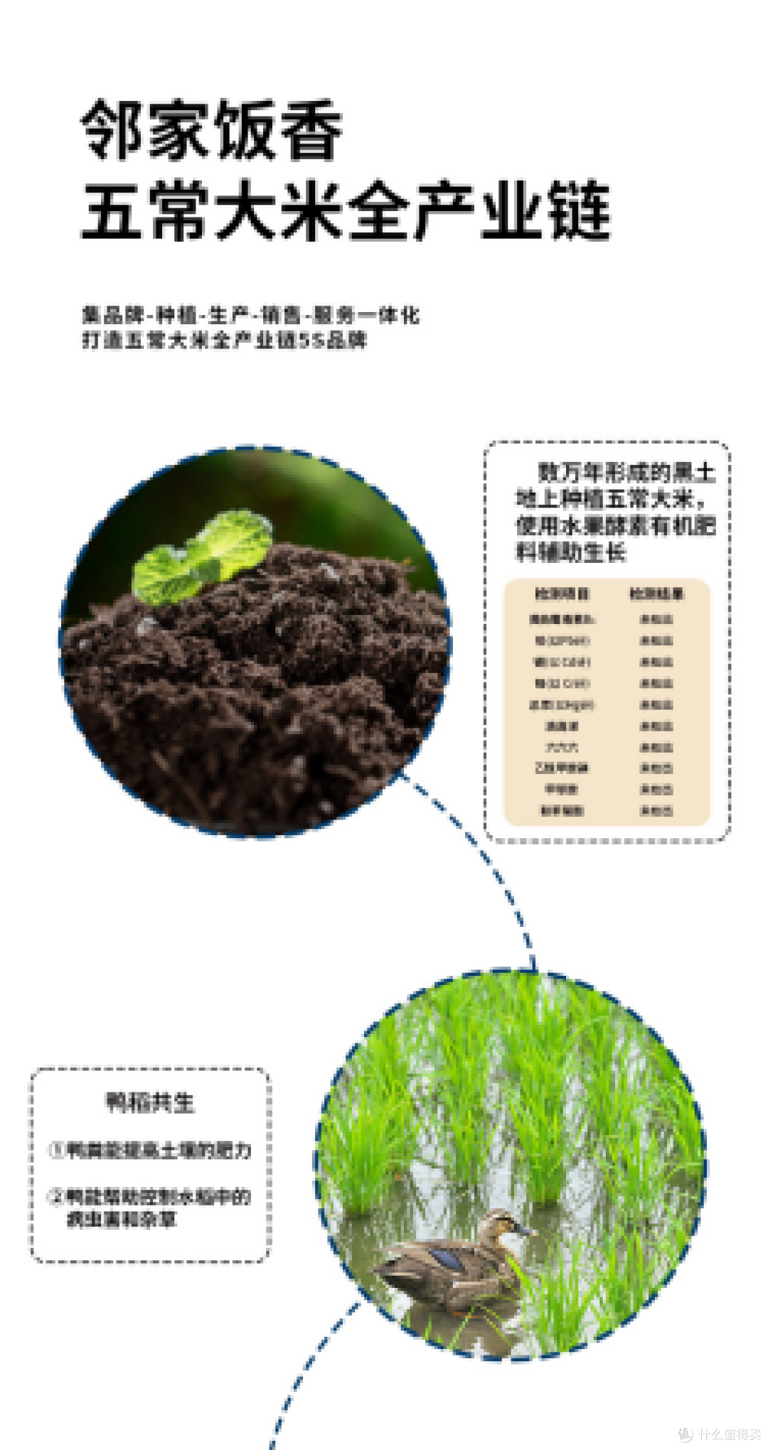 五常大米如何保护其地理标志