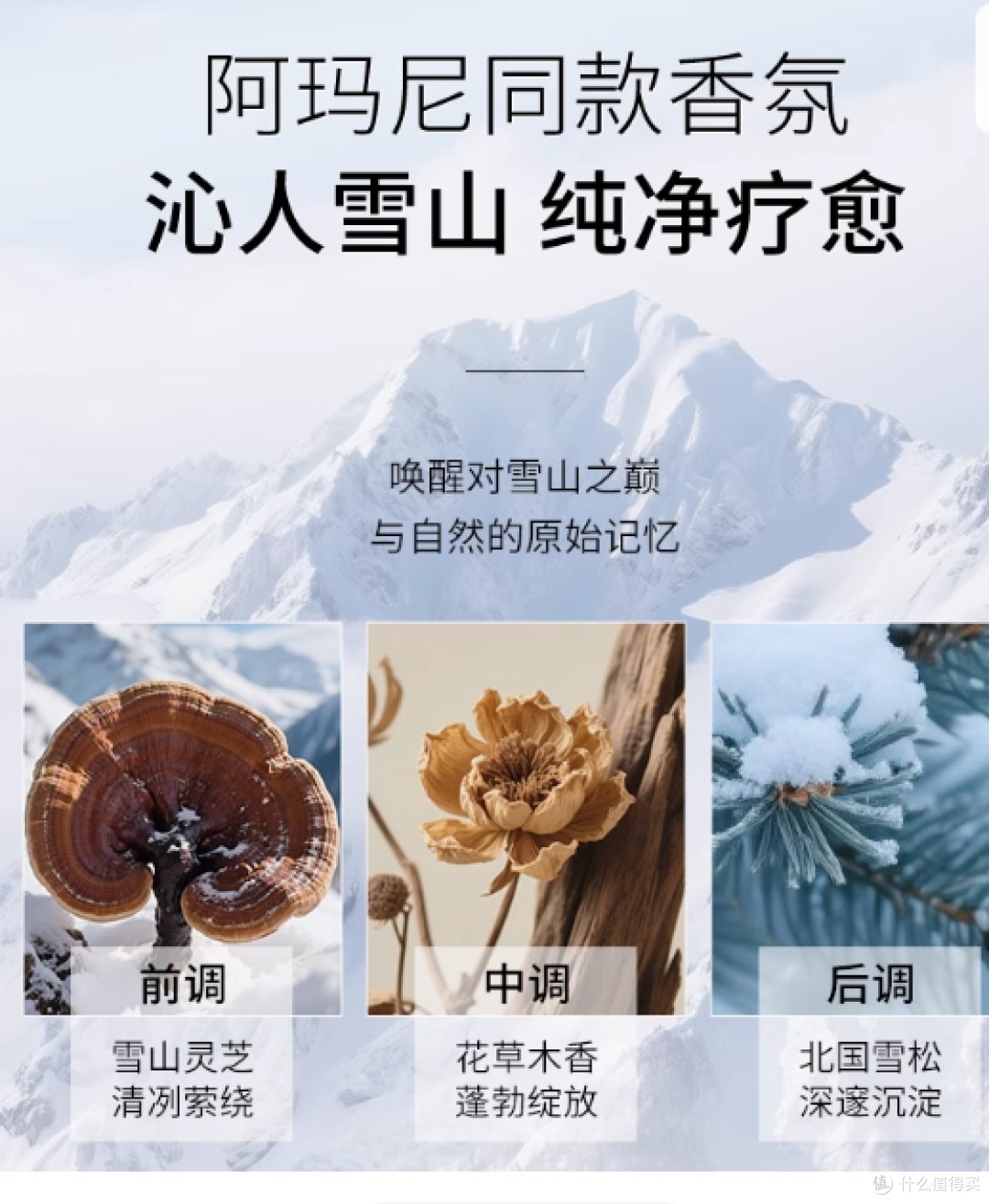 达霏欣咖啡因洗发水:头发的全方位养护专家