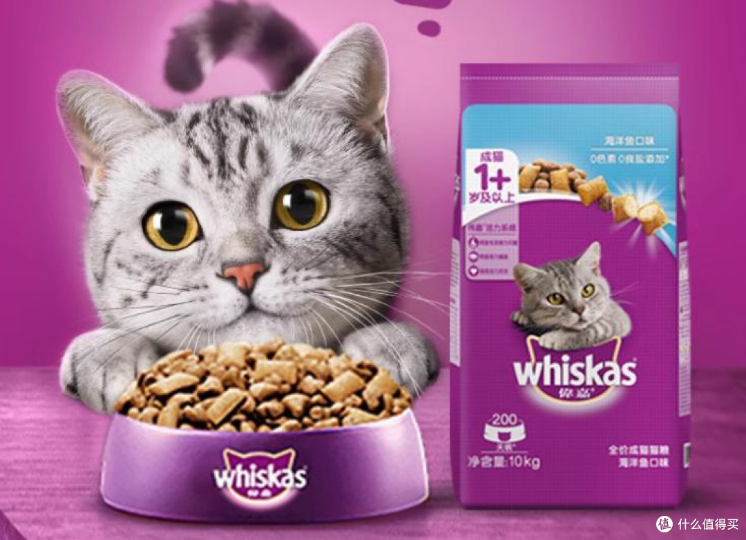哪些宠物店猫粮品牌比较好?力荐5个长肉健康的猫粮