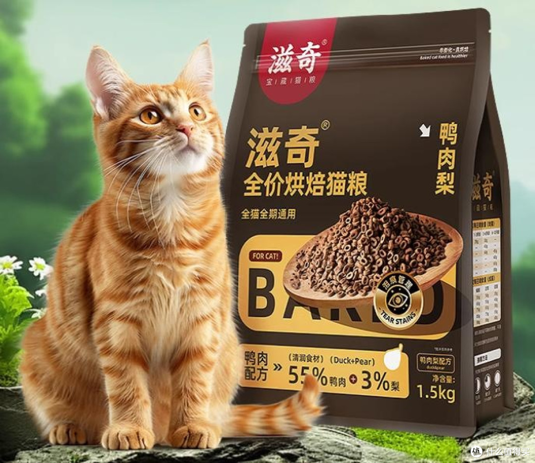 哪些宠物店猫粮品牌比较好?力荐5个长肉健康的猫粮