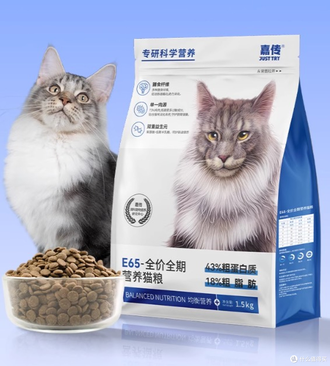 宠物猫粮怎么选?2025经济实惠的猫粮有营养的猫粮推荐