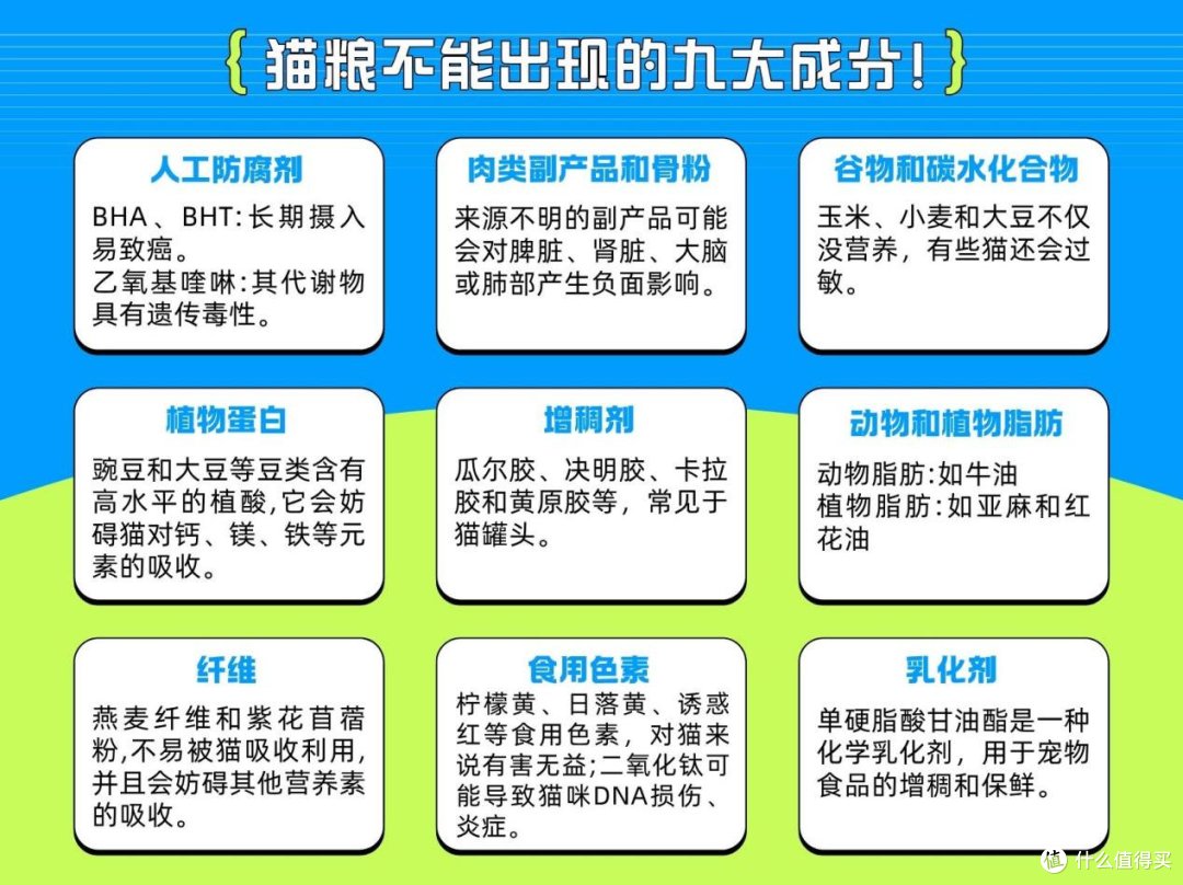 猫粮哪种品牌好一点?这5款爆款猫粮解决猫咪不长肉!