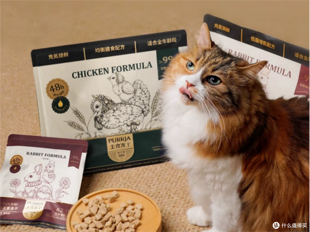 猫粮牌子推荐哪些好?适合穷人的十款高性价比猫粮推荐