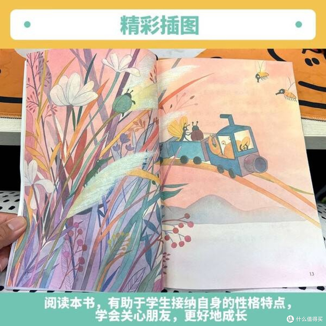 螃蟹壳里的宇宙:《孤独的小螃蟹》与童年精神的觉醒