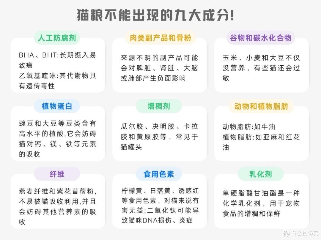 老年猫粮哪个牌子好?最建议入手这六款,优缺点全分析