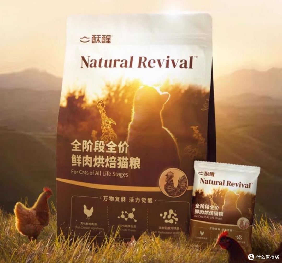 老年猫粮哪个牌子好?最建议入手这六款,优缺点全分析