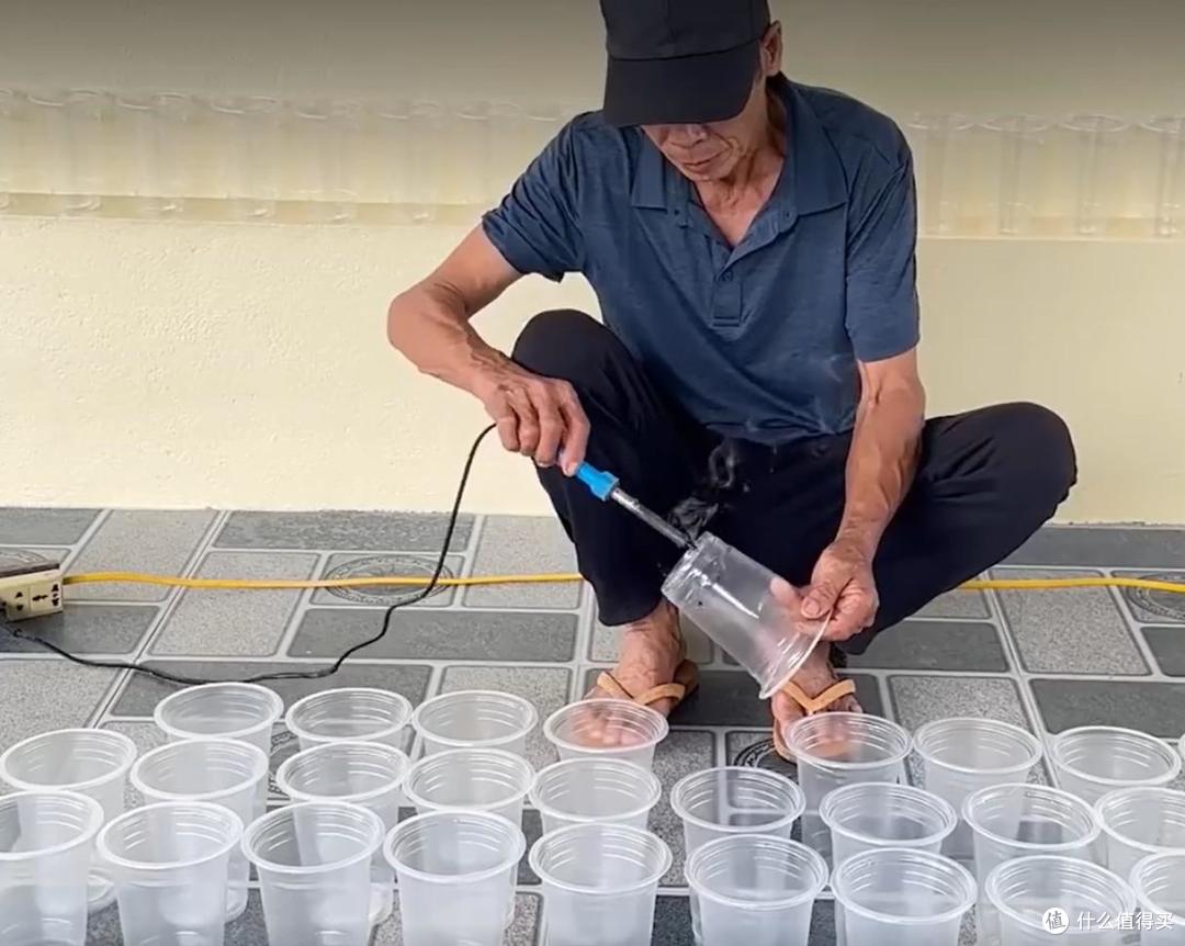 大叔用“奶茶杯种空心菜”,种一次,吃一年,网友:还能这么玩?