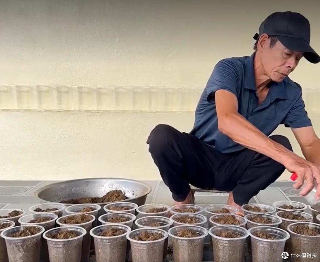 大叔用“奶茶杯种空心菜”,种一次,吃一年,网友:还能这么玩?