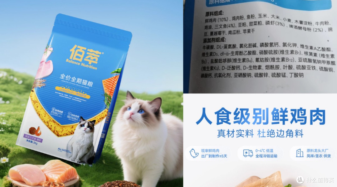猫粮的选择哪款比较好?实测哪款是国产猫粮排行榜第一名
