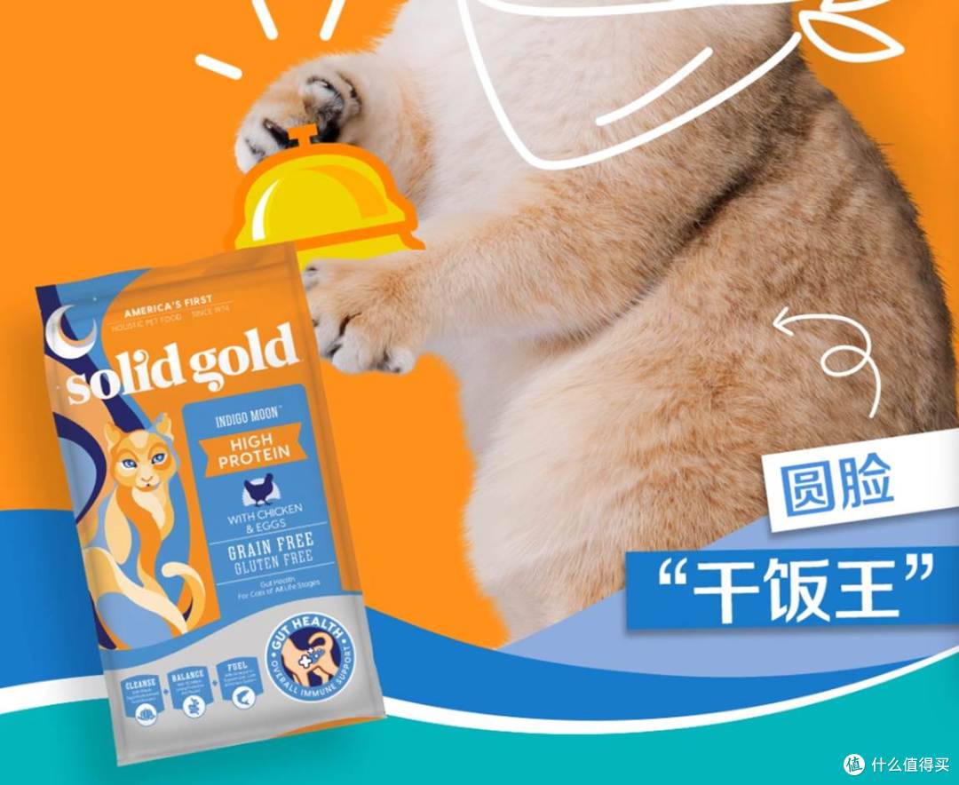 哪种国产猫粮比较好又不贵?十大超放心猫粮推荐!