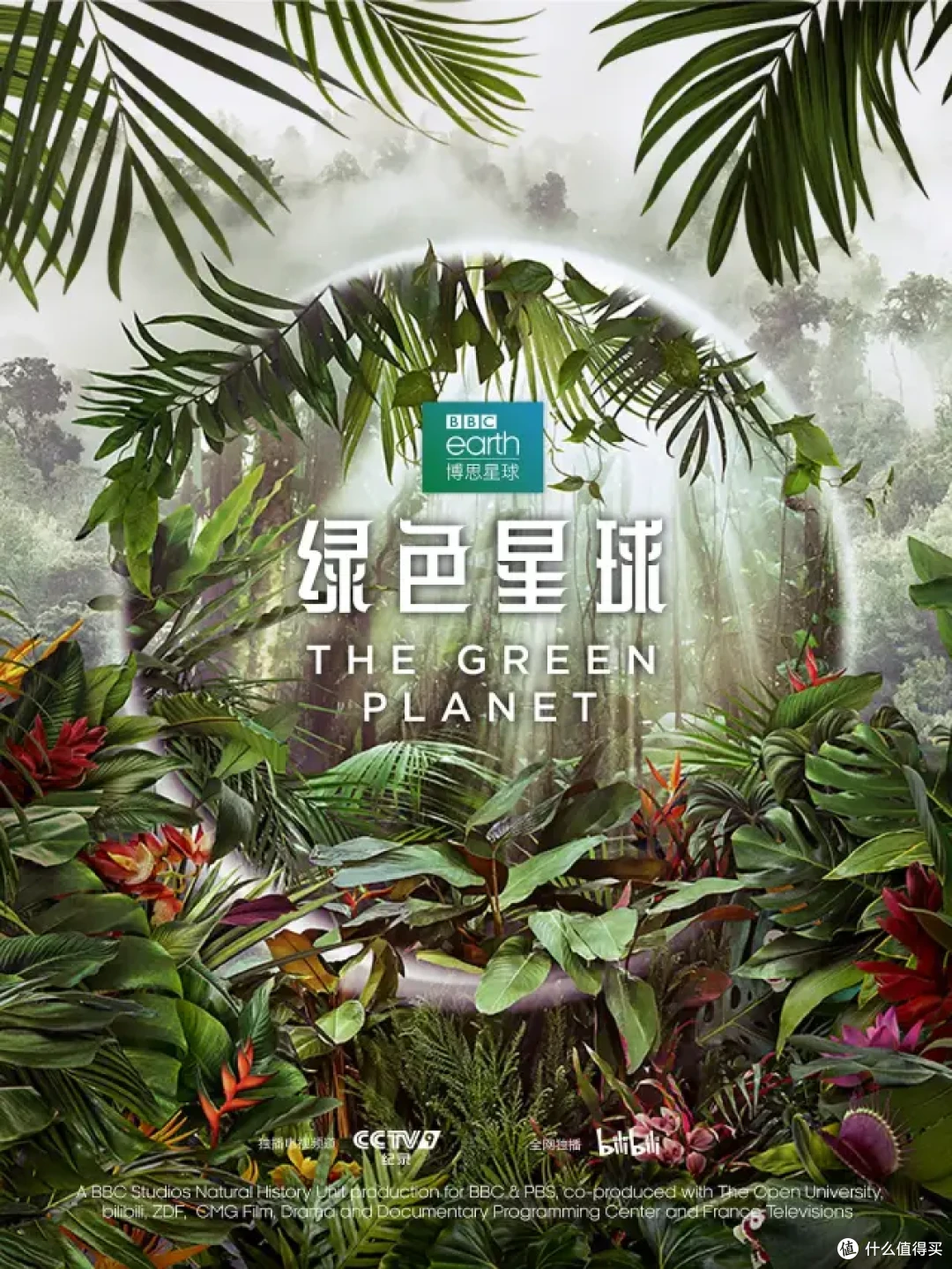 最高9.8分,零差评,这5部神作建议收藏