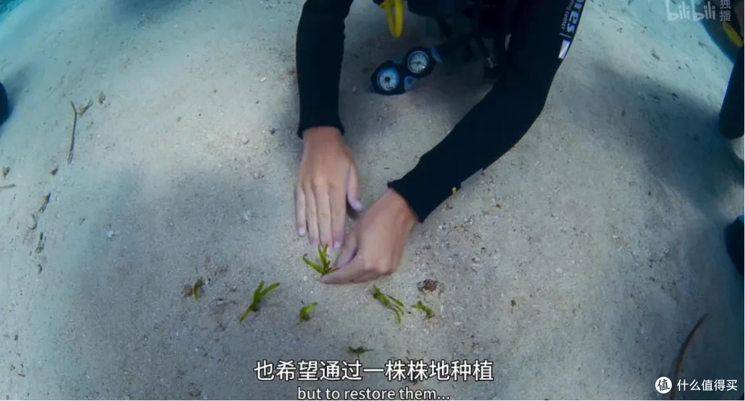 最高9.8分,零差评,这5部神作建议收藏