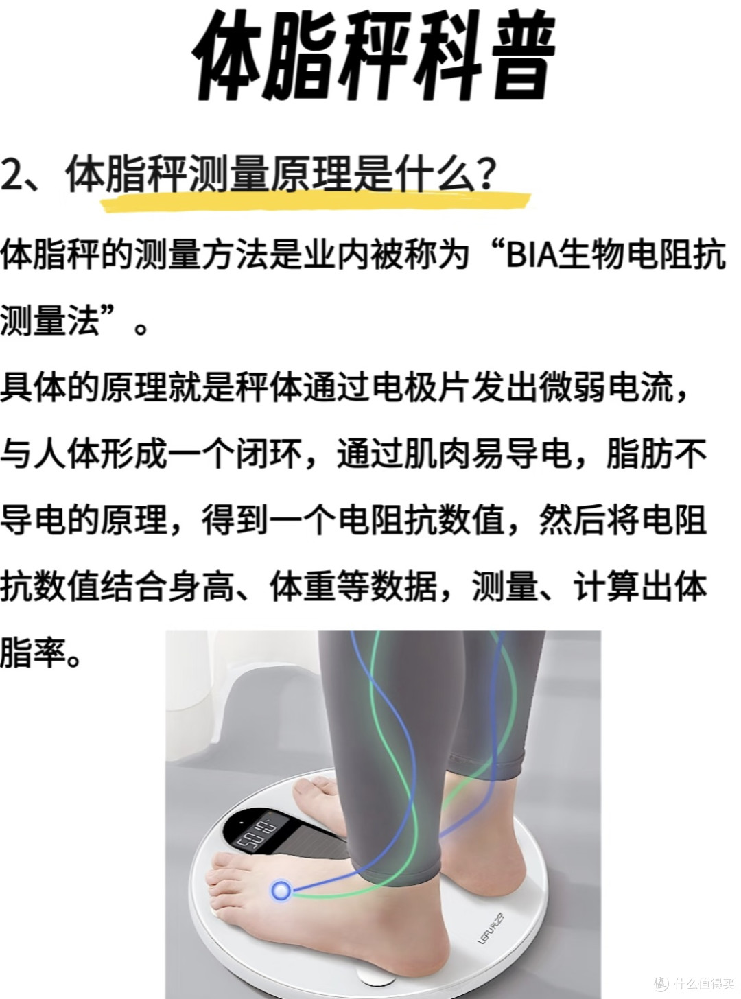 探索体重秤与体脂秤的差异：谁才是你的健康好帮手？