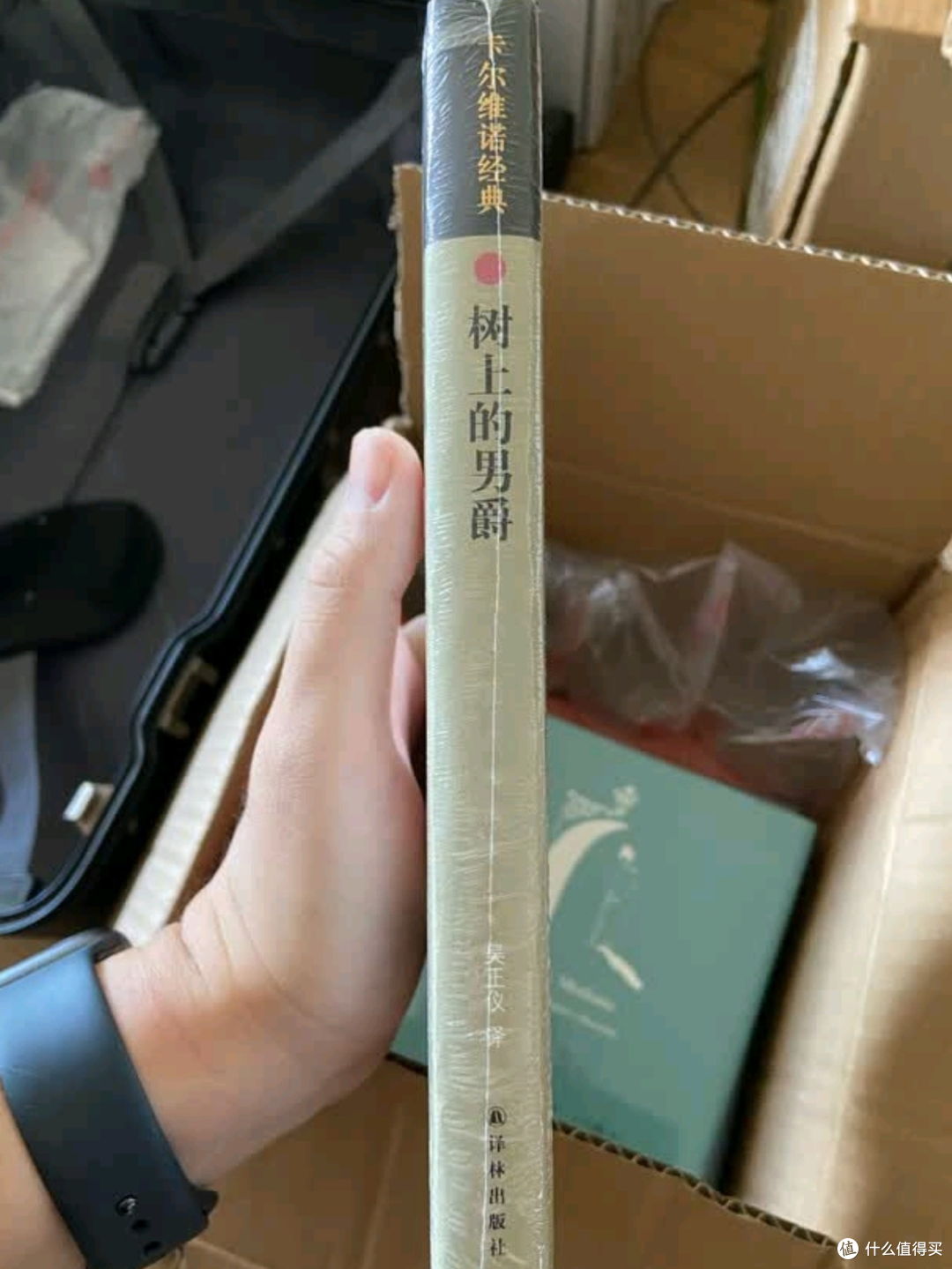 柯西莫的树上人生