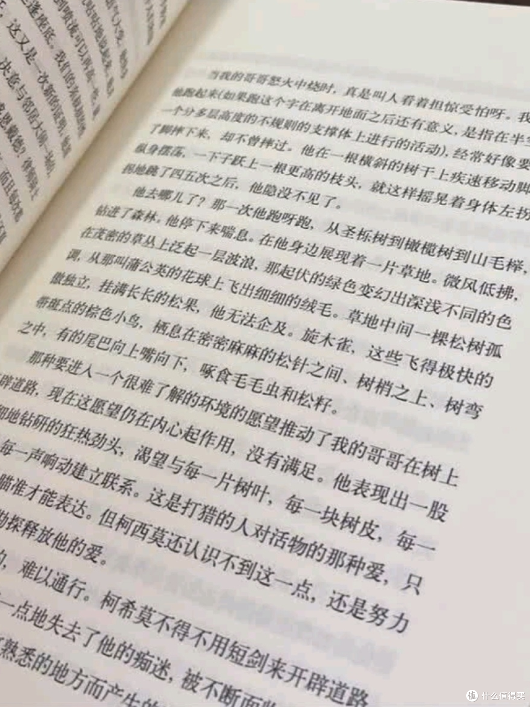 柯西莫的树上人生