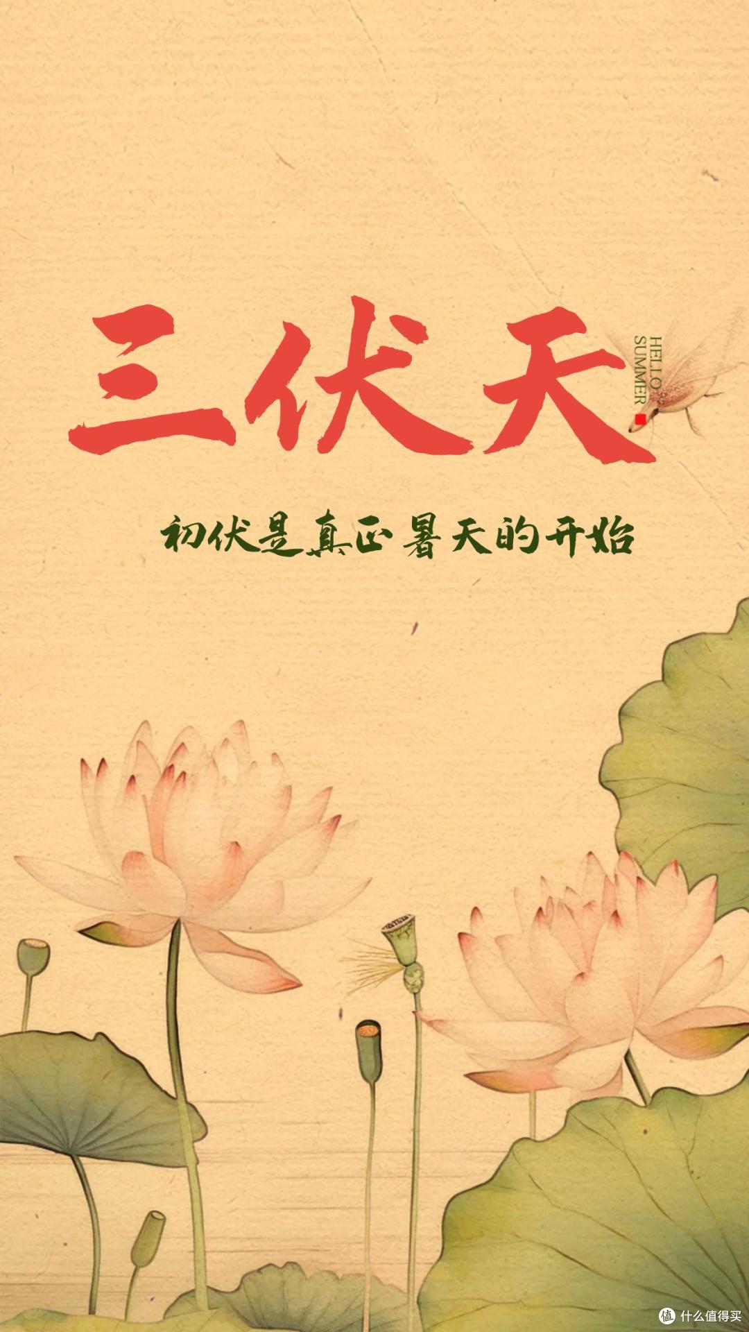 今日入伏,老传统吃饺子,避开2种馅,尝鲜3种“应季馅”,正鲜美
