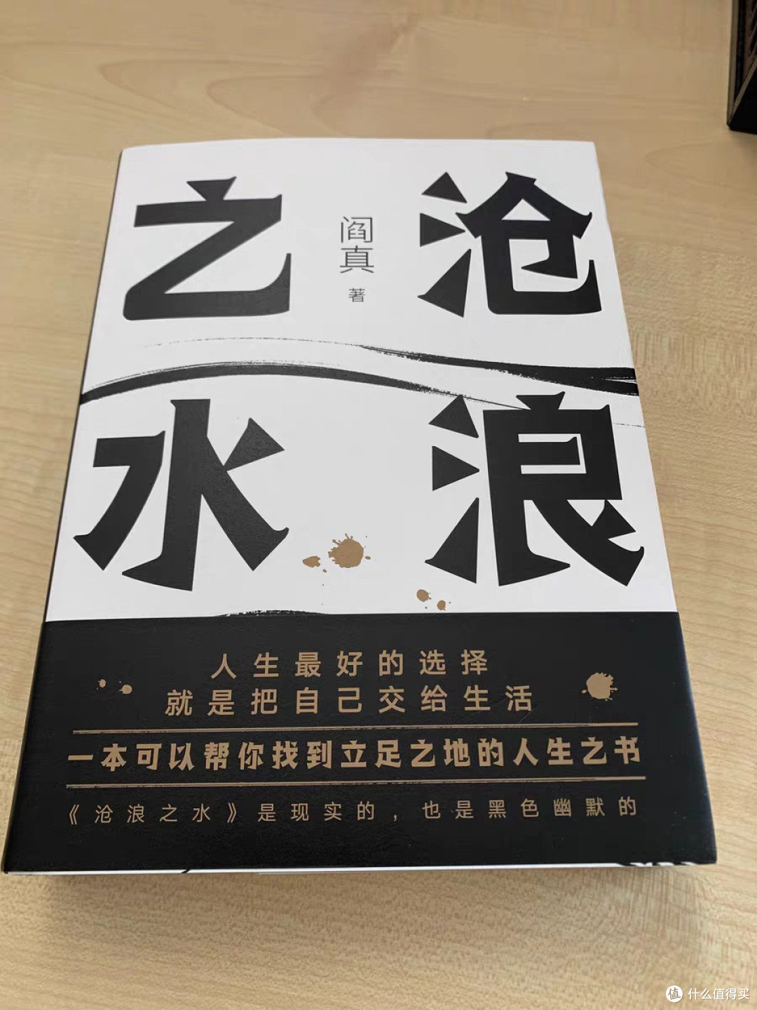 《沧浪之水》：知识分子道德与欲望的挣扎