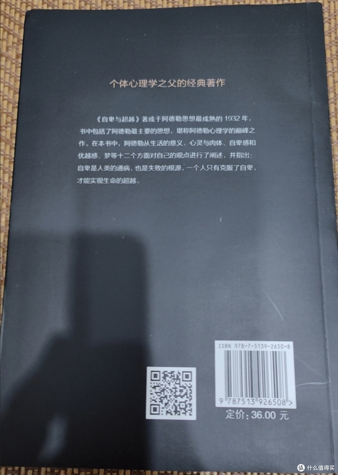 这个夏天,读书治好了我的精神内耗