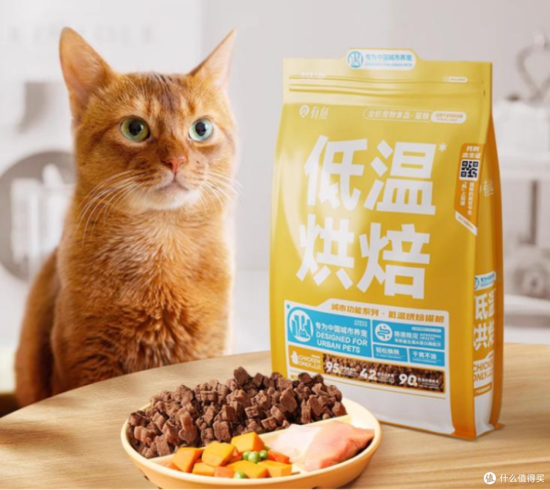如何根据猫咪体质选择合适的猫粮?适合穷人猫粮推荐的品牌