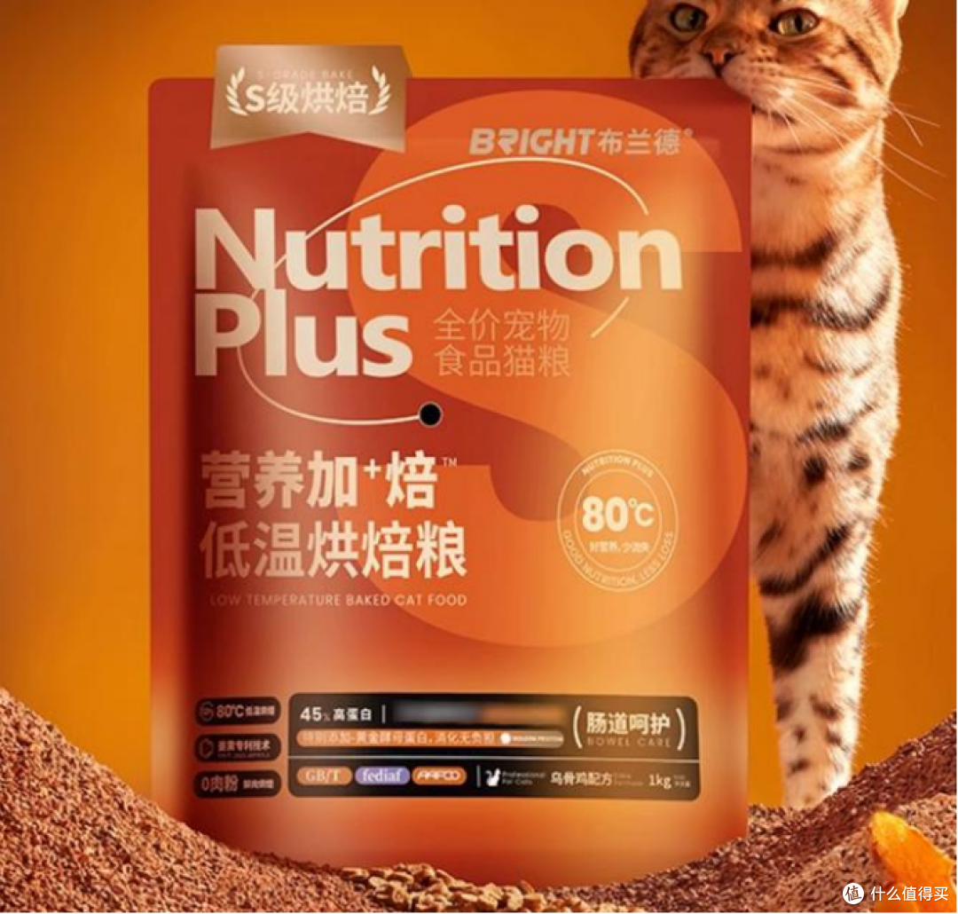 如何根据猫咪体质选择合适的猫粮?适合穷人猫粮推荐的品牌