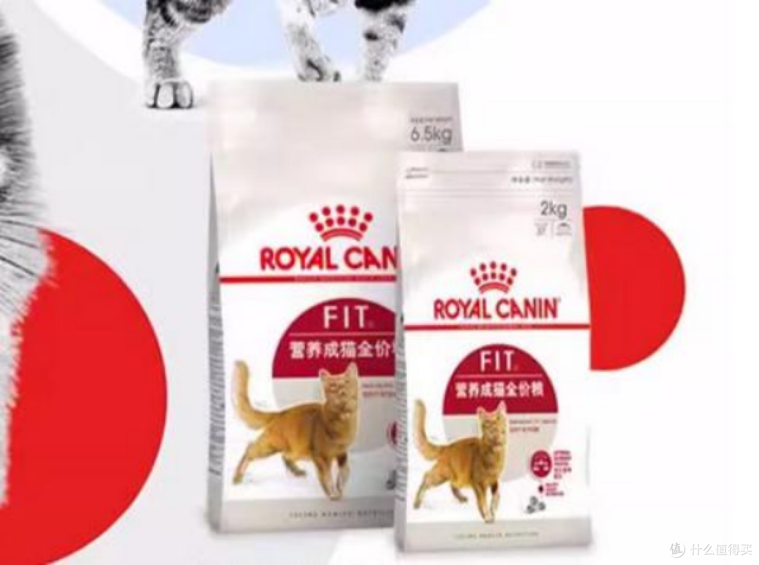 什么牌子的猫粮好求推荐?这5款高营养易吸收宝藏之选
