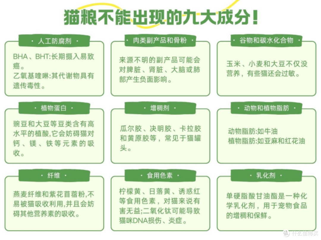 什么牌子的猫粮好求推荐?这5款高营养易吸收宝藏之选