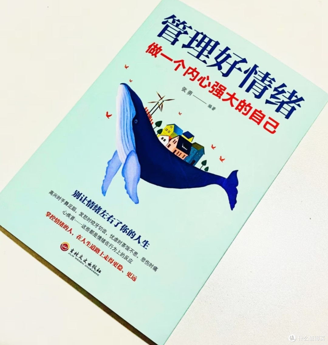 内心强大必修课——读《管理好情绪,做一个内心强大的自己》有感