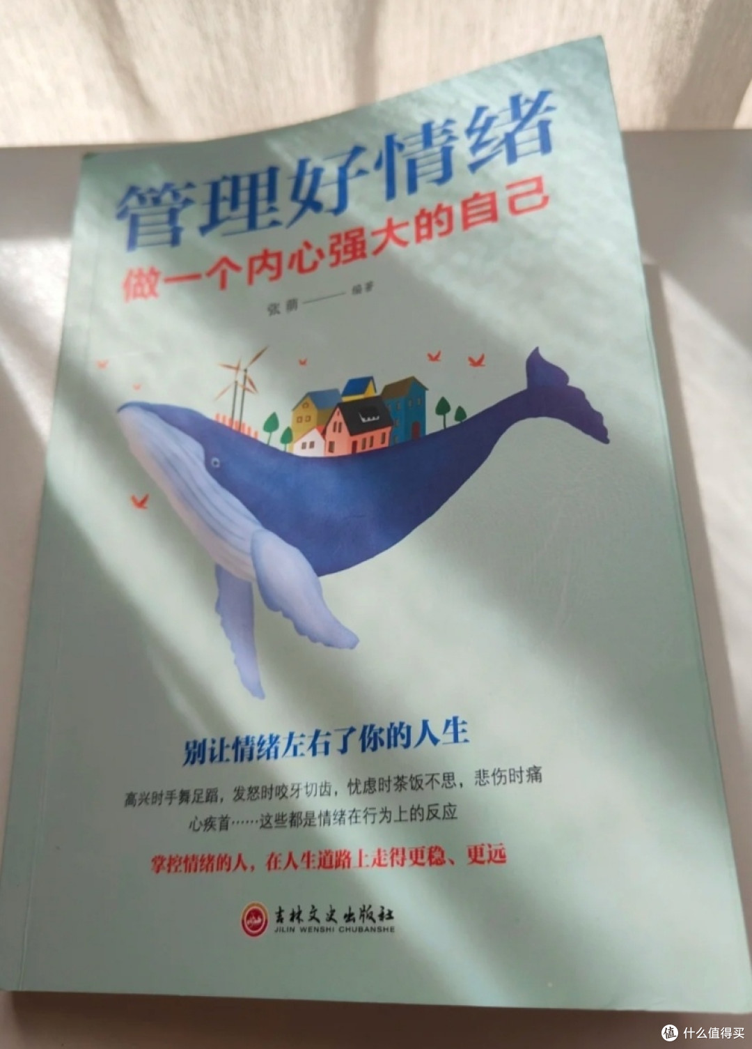 内心强大必修课——读《管理好情绪,做一个内心强大的自己》有感