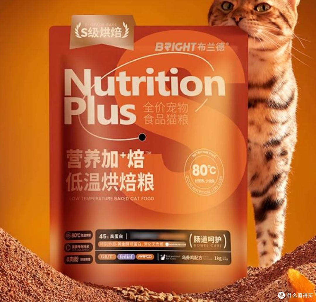 猫粮的选择标准是什么?五大高性价比猫粮度解析!选对不踩坑