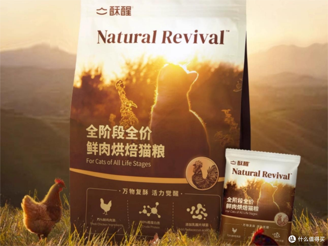 挑食猫买什么猫粮好吃一点?适口性超绝的猫粮排行榜前十名分享