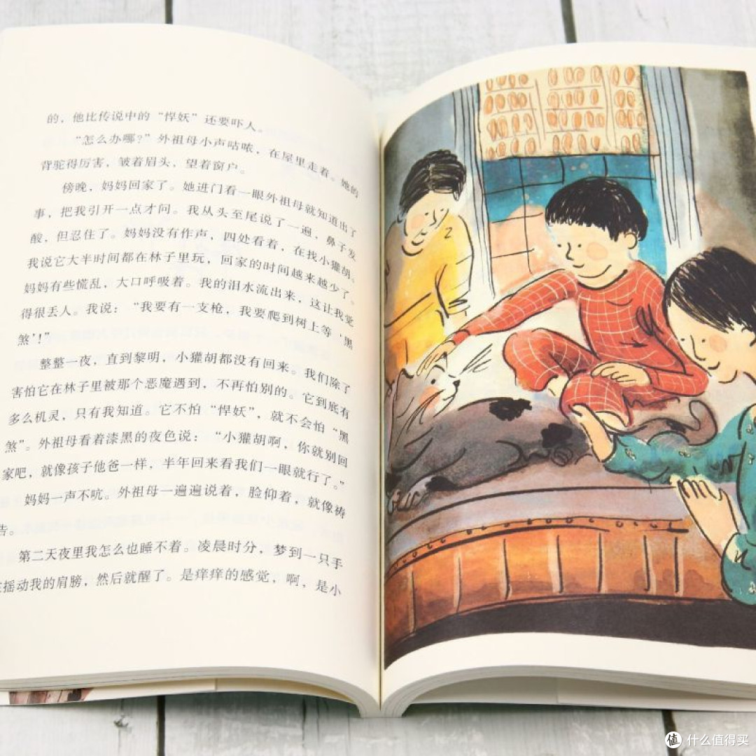 爱的川流不息茅盾文学奖得主张炜作品橘颂作者爱的故事毛孩子故事